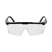 Shield Safety Glasses (12 Pack)